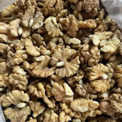 Large fruit walnut kernels