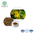 Lianqiao Forsythiae Fructus Forsythia Extract Suspensa