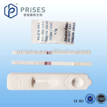 Women Rapid Urine Detection Pregnancy