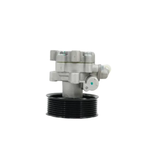 Chinese Factories Specializing in High-Quality Power Steering Pump Assembly 3406700R0070 and Auto Engine Spare Parts