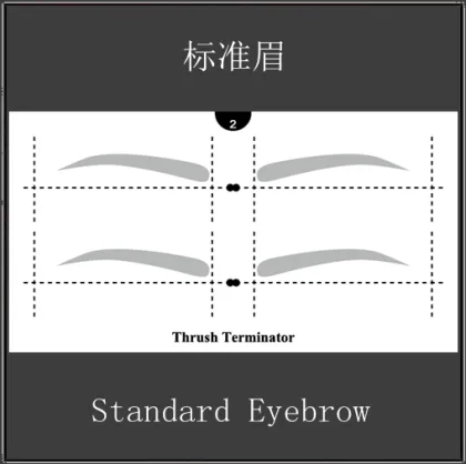Eyebrow Makeup tools cosmetics makeup