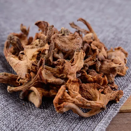 Wholesale Chinese Hot Product Chanterelle Mushroom