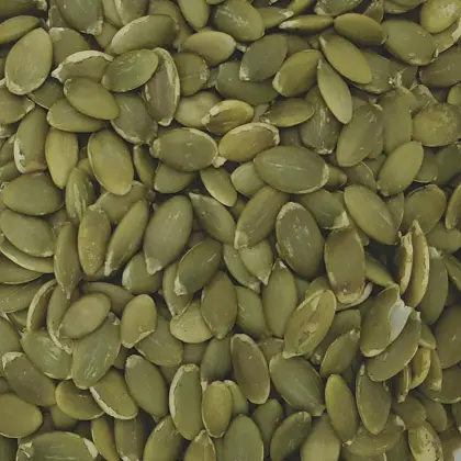 Top Quality Pumpkin Seeds