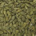 Top Quality Pumpkin Seeds