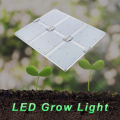 La serre à la plante LED a utilisé la lumière de poussée à la LED