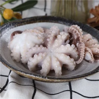 Freezing Blanched Baby octopus
