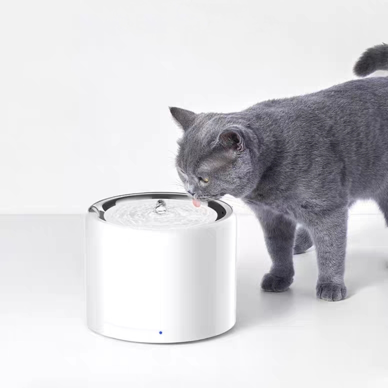 Smart Pet Fountain for Fresh Water
