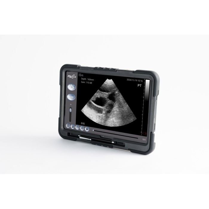 SmartScan C ultrasound for swine pregnancy test