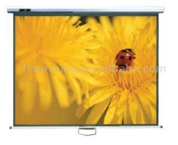 Projection Screen