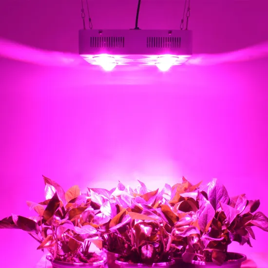 Cob Led Grow Light, 4pcs COB 150W Bridgelux Led Grow Light 600W