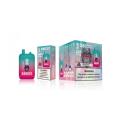 Bang king 25000 puffs Mesh coil Disposable Vape