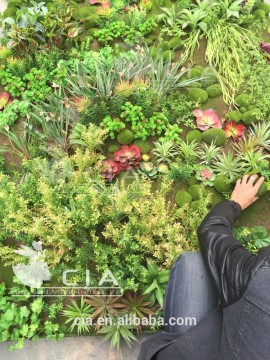 Interior Wall Decorative Artificial Vertical Garden Wall with Moss and Turf for Sale