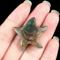 Fancy Jasper 30mm Smiling Starfish Pendant & Ornament for Home Decoration Handmade Craved Stone Solar