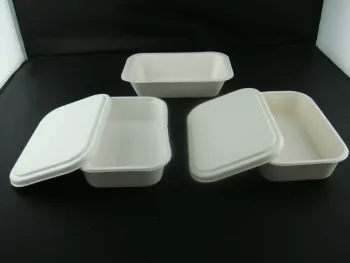 a Disposable Biodegradable Sugarcane Box 650ML 850ML