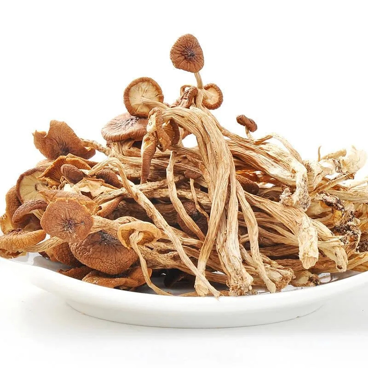 Agrocybe Aegerita Extract