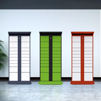 Face Recognition Smart Lockers Smart Electronic RFID Smart Parcel Delivery Lockers
