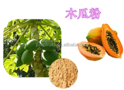 Papaya processing machine make papaya juice