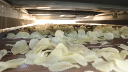 Potato Chips drying process