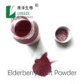 High Quality Black Elderberry Extract Polyphenols 1%