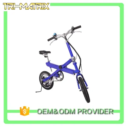 China supply professional coc road electric bike