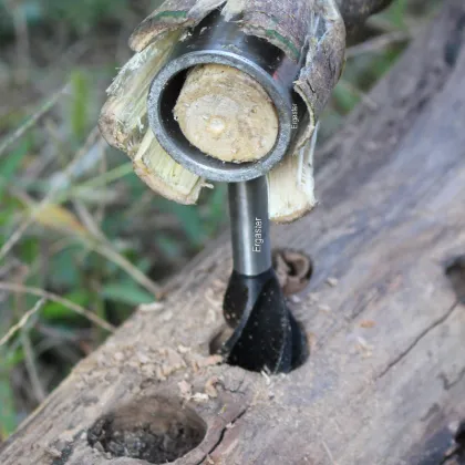 Scotch Augers for Bushcraft