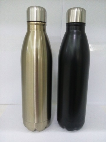 Stainless Steel Vacuum Water Bottle