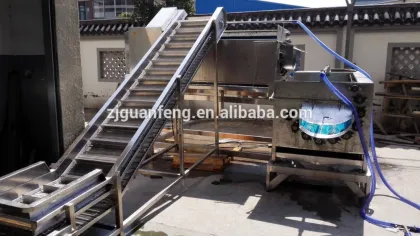 Frozen vegetables production line