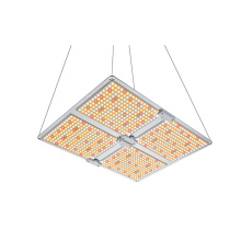 LED wachsen leichte für den Gewächshaus dimmbar