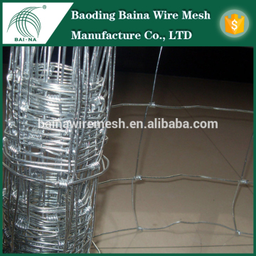 Cattle Fence/sheep Fence/field Fence manufacture (factory Price)