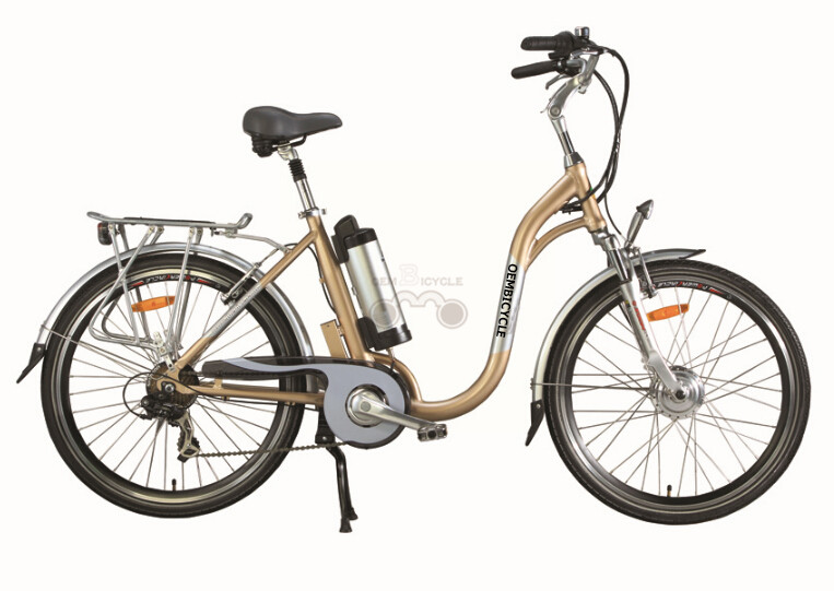 e bike02