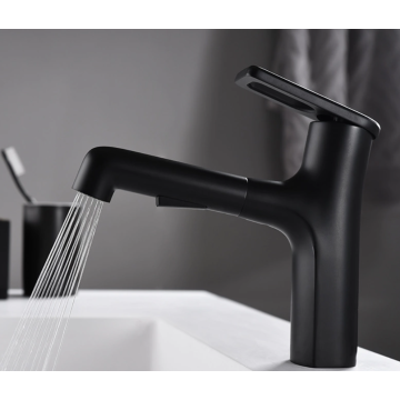 Modern Sink Pull-Out Faucet