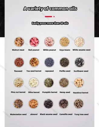 SmartSmall MINI Home Automatic Oil Press Machine for Tung Oil, Walnut, Sunflower Seeds & Olive Oil