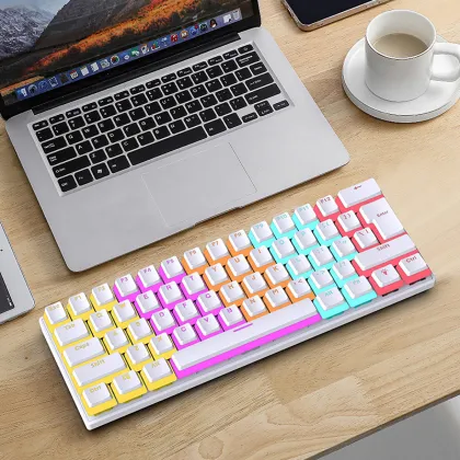 Professional 61-Key LED Backlit Mechanical Gaming Keyboard: USB Wired 60% Mechanical Keyboard