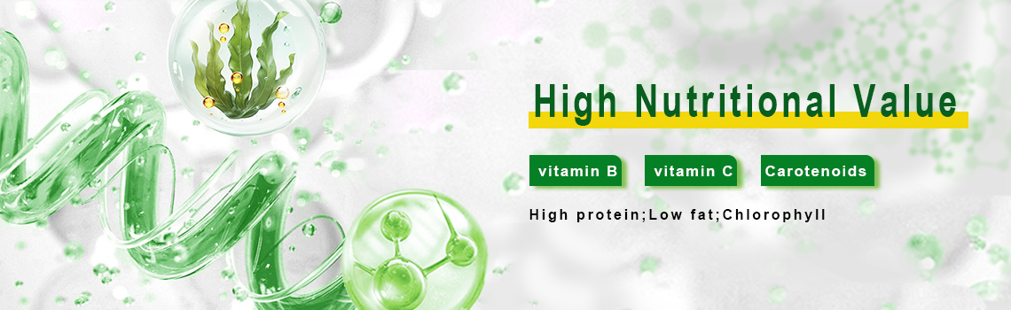 best spirulina powder