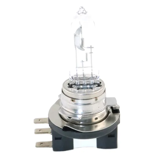 LED Headlight and Tail Light Bulb Holder for Octavia, Dacia, and Renault Duster