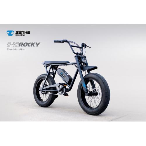 Bike Electricity Ebike Electric bicycle for adult Rocky Manufactory