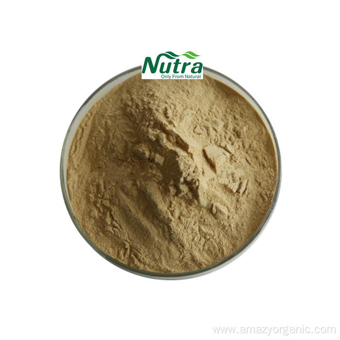 Organic Scutellaria Baicalensis Extract Powder