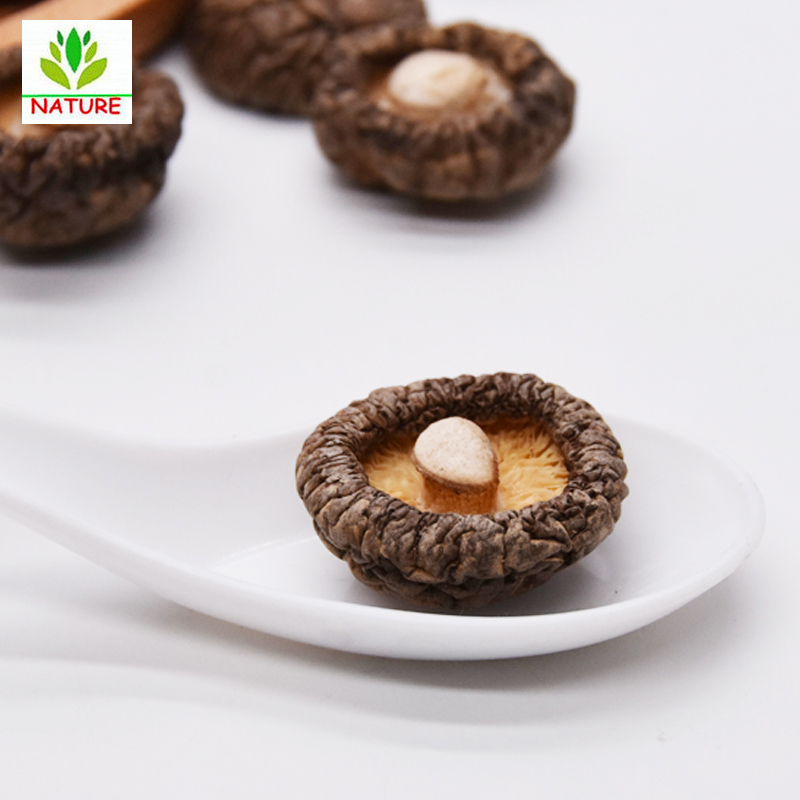 Organic Top Grade Dried Shiitake Chinese Mushroom