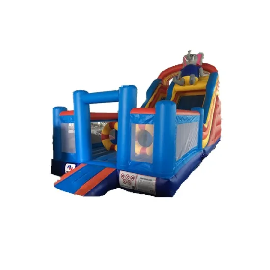 Outdoor Giant Inflatable Bouncer Combo with Slide for Sale