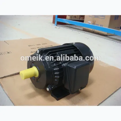 ML single phase small electric motors