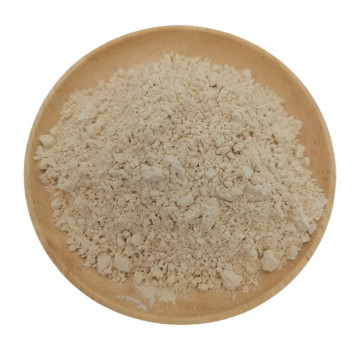 Hot selling organic brown rice protein isolate powder