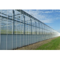 Low-e Vacuum Glass For Greenhouse