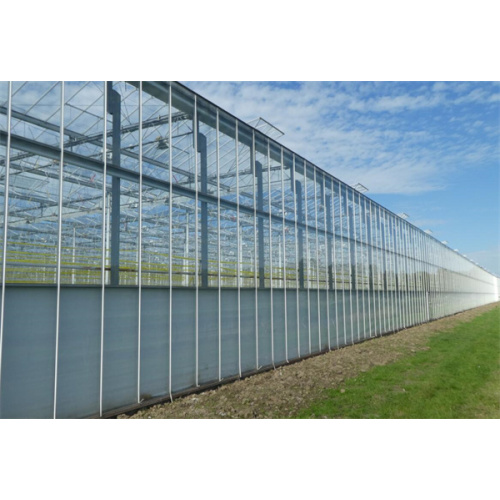 Low-e Vacuum Glass For Greenhouse