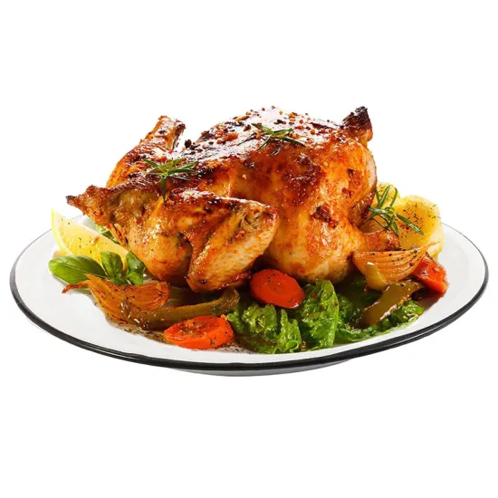 Europe Style Wholesale Hot Sales Tray Food Grade Enamel Cooking Enamel Soup Plate