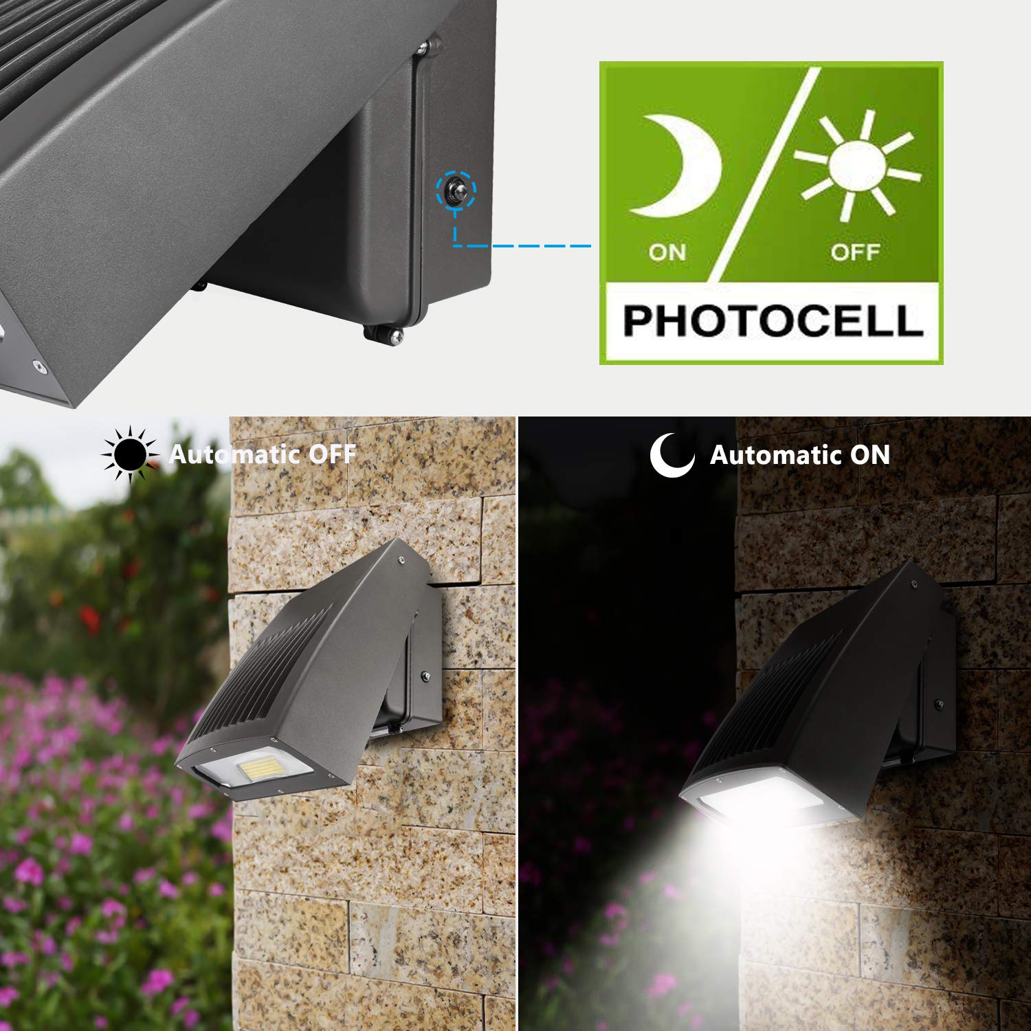 led wall pack lights