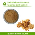 Endorothelium corneum gigeriae gali extracto polvo 10: 1