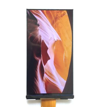 Schermata LCD da 5 pollici da 40 pin con interfaccia DSI MIPI - Visualizzazione touch Chenghao