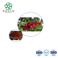 Erythrina Verna Extract Bulk 10:1 Standardized for Research