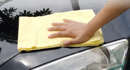 Super Absorber Peau De Aion Kanebo Dog Face PVA Chamois for Car Cleaning