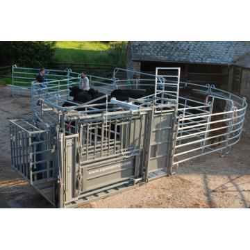 Used Metal Pipe Fencing Horses Fence Panels